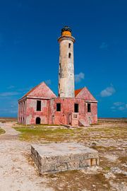 Small Curacao by LUNA Fotografie