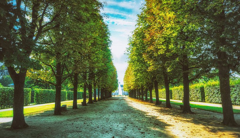 Le château de Pillnitz - parc au point de fuite de l'allée d'arbres par Jakob Baranowski - Photography - Video - Photoshop