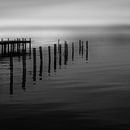 Harbor Bridge by Lena Weisbek thumbnail