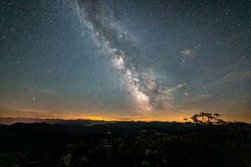 Melkweg en sterrenhemel boven de Allgäuer Alpen vanaf Hochgrat van Leo Schindzielorz