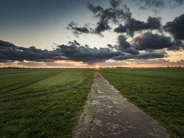 path to the sun by Andre Bolhoeve