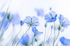 Blue flower meadow by Poster Art Shop