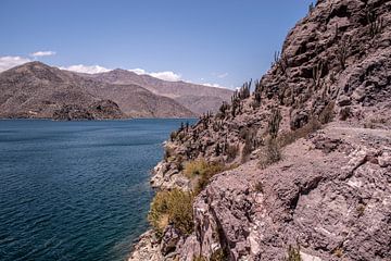 Puclaro Reservoir in de Elqui Vallei van Thomas Riess