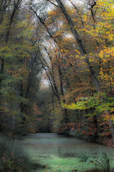 Der lange Teich von Frankje Huisman