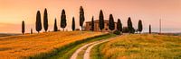 Landhuis met cipressen bij zonsondergang, Toscane, Italië