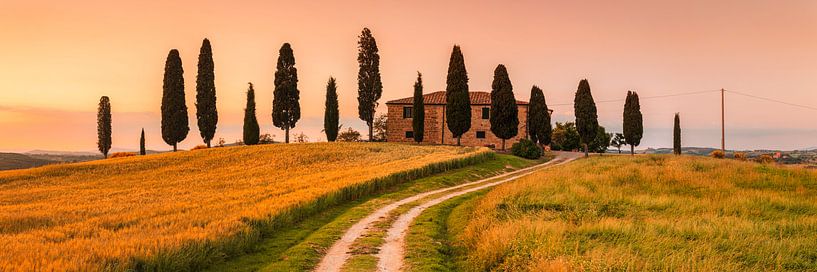 Landhuis met cipressen bij zonsondergang, Toscane, Italië van Markus Lange