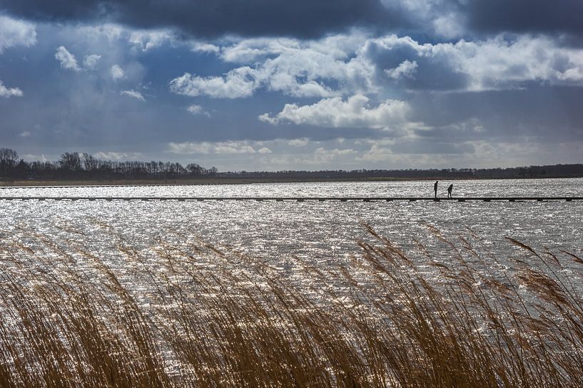 Swaying reeds and a long jetty by the lake in Roegwold by Marc Venema