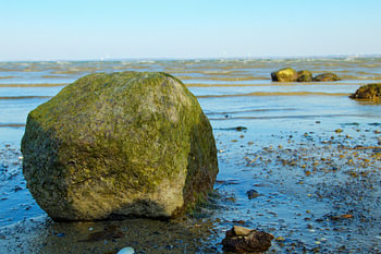 Stein und Strand
