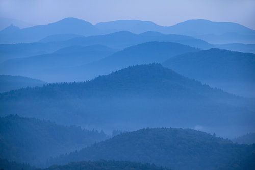 BLAUWHUUR in de Pfalz in het Pfälzerwoud