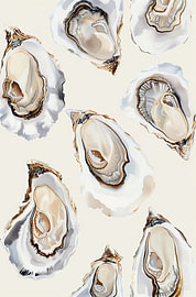 Collection Oyster I sur Bob Cintron