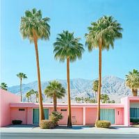 Palm Paradise