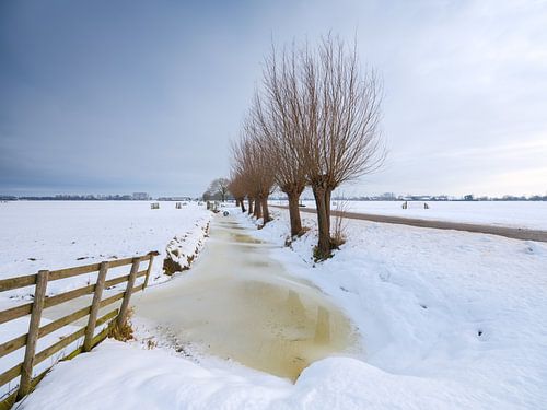 Sneeuw bedekt het polderlandschap bij Noordeloos in de winter