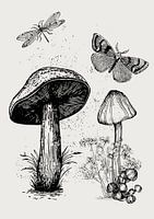 The mushrooms