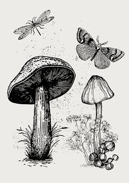 The mushrooms van Fineline