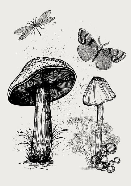 Die Pilze von Fineline