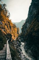 Lammerklamm in autumn colours, narrow river gorge in Scheffau