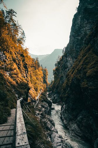 Lammerklamm in herfstkleuren, smalle rivierkloof in Scheffau