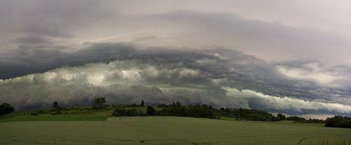 shelfcloud 3