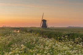 Hempenserpolder mill Friesland by Lisannesfotografie