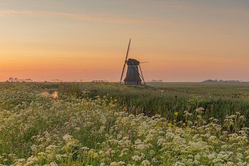 Hempenserpolder molen Friesland van Lisannesfotografie