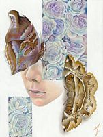 Human Nature V