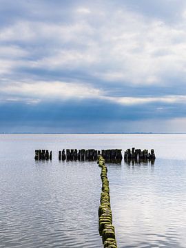 Krib in de lagune van Szczecin bij Kamminke op het eiland Usedom van Rico Ködder