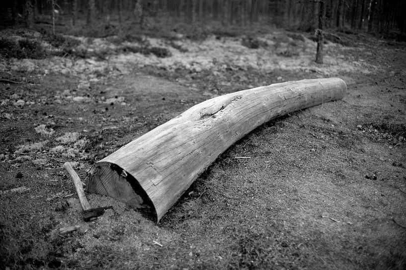 Baumstamm mit Axt im Wald in Schweden von Rob van Dam