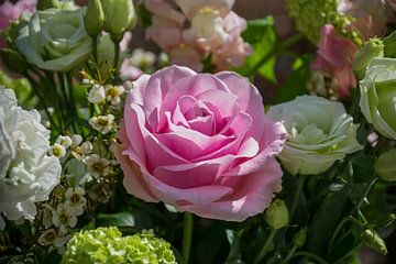 Mooie romantische roze roos van Patrick Verhoef