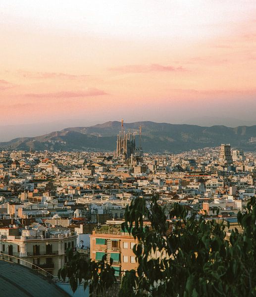 Barcelona by Hello Pompoyo