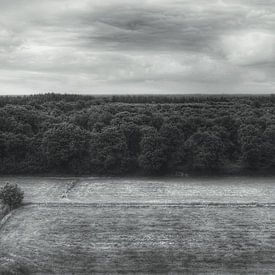 Au-dessus des arbres sur Jacob Raymond de Boer