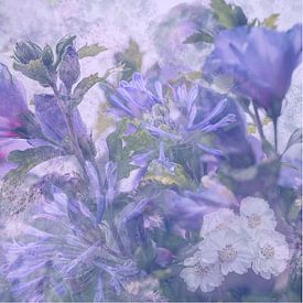 Composition in purple, white and green. A soft dreamy image. by Ineke Mighorst