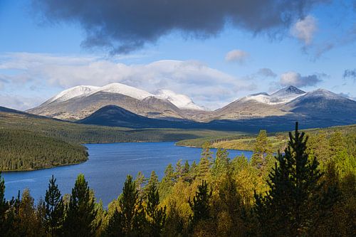 Rondane Norvège