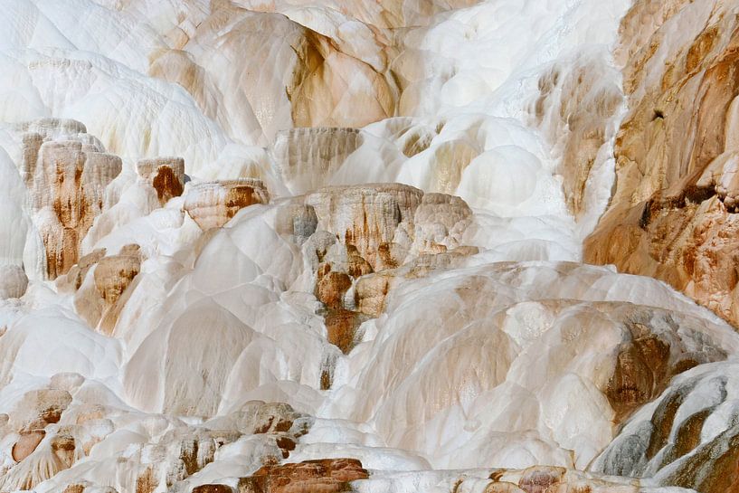 Mammoth Hot Springs im Yellowstone von Antwan Janssen