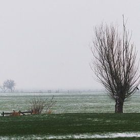 Winterweide Woerden von Christiaan Klompstra