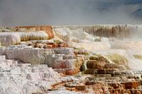 Minerva lente-impressie