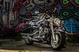 Yamaha XV 1600 Wildstar by Westland Op Wielen