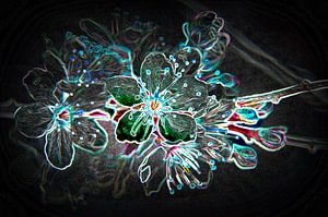 mysteric blossom