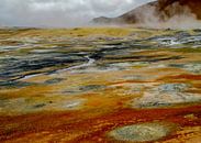 Multicolor Landschaft mit heißen Quellen in Island von Rietje Bulthuis Miniaturansicht