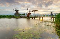 Moulin de visiteurs par Jan Koppelaar Aperçu