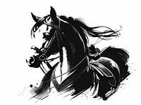The escaping horse as an illustration