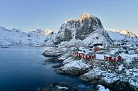 Zonnestralen boven Hamnoy - Mooie Lofoten van Rolf Schnepp thumbnail