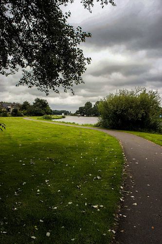 Nederlandse Landschap