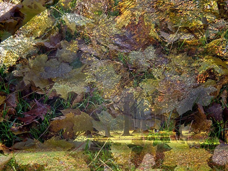Herfst collage van Edgar Schermaul