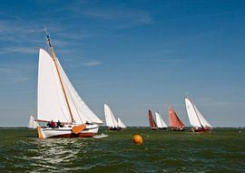 In elkaars vaarwater zitten by Jack Tol