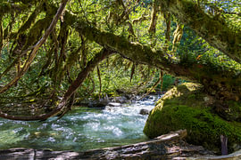Deception Creek sur Annemie Hermse-Kouwenberg