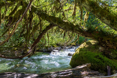 Deception Creek