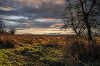 Dreigend wolkendek