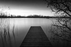 Steg im Haarlemmermeer-Wald