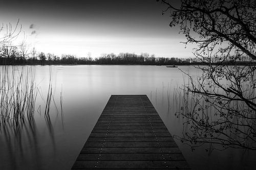 Jetty in Haarlemmermeer forest