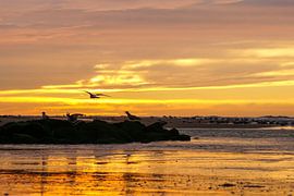 Zee, zon en strand sur Dirk van Egmond